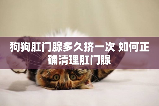 狗狗肛門腺多久擠一次 如何正確清理肛門腺
