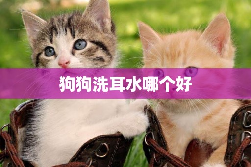 狗狗洗耳水哪個好