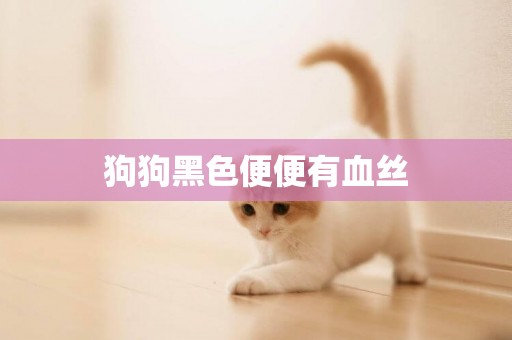 狗狗黑色便便有血絲