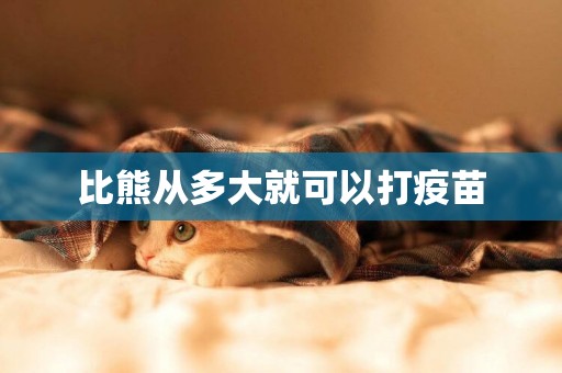 比熊從多大就可以打疫苗