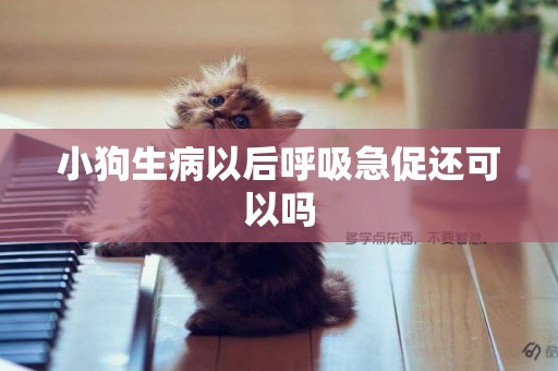 小狗生病以后呼吸急促還可以嗎