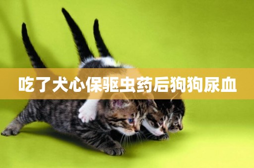 吃了犬心保驅蟲藥后狗狗尿血