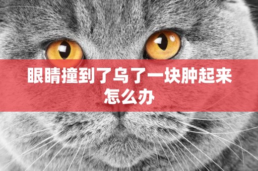 眼睛撞到了烏了一塊腫起來怎么辦