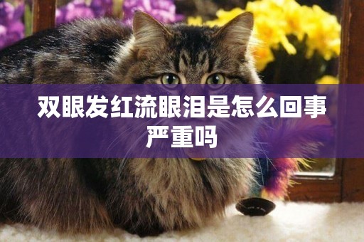 雙眼發紅流眼淚是怎么回事嚴重嗎