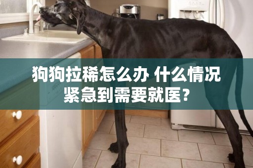 狗狗拉稀怎么辦 什么情況緊急到需要就醫？