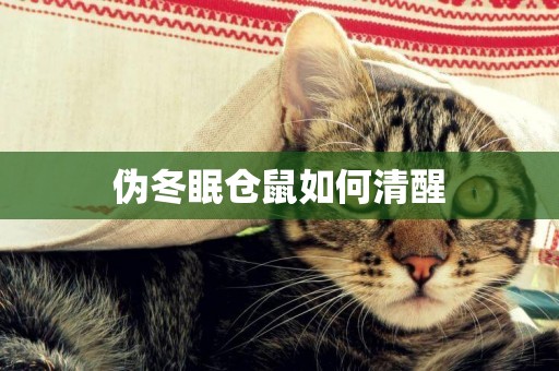 偽冬眠倉鼠如何清醒