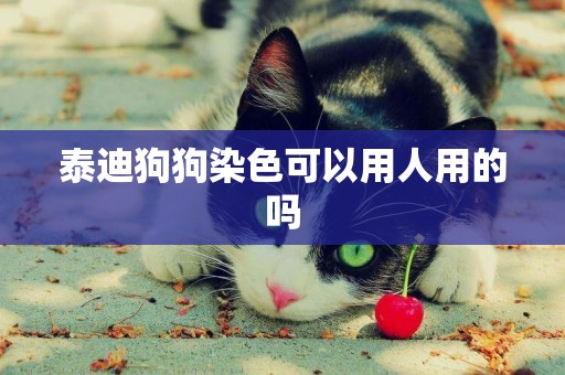 泰迪狗狗染色可以用人用的嗎