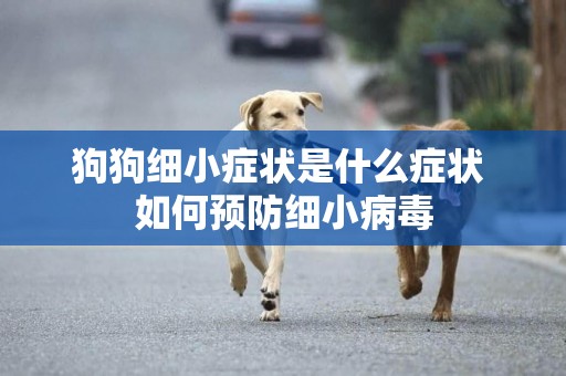 狗狗細小癥狀是什么癥狀 如何預防細小病毒