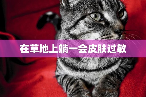 在草地上躺一會皮膚過敏