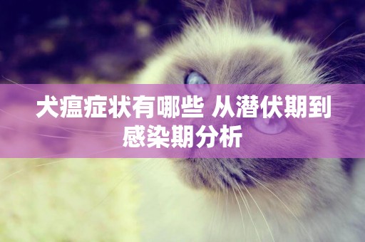 犬瘟癥狀有哪些 從潛伏期到感染期分析