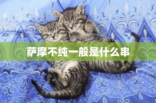 薩摩不純一般是什么串