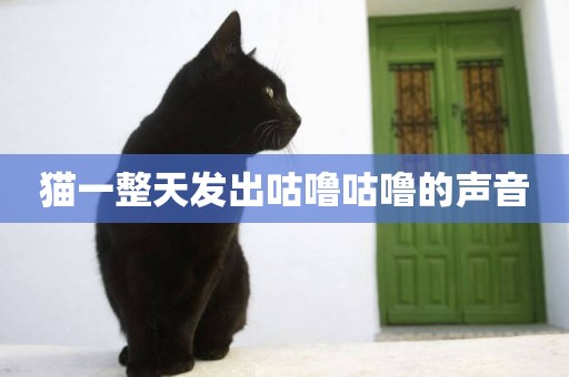 貓一整天發出咕嚕咕嚕的聲音