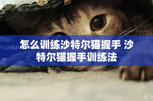 怎么訓練沙特爾貓握手 沙特爾貓握手訓練法
