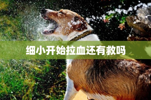 細小開始拉血還有救嗎