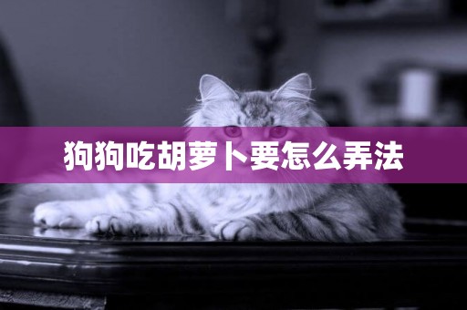 狗狗吃胡蘿卜要怎么弄法