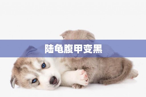 陸龜腹甲變黑