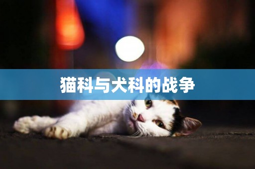 貓科與犬科的戰爭