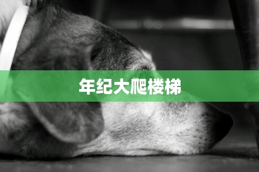 年紀大爬樓梯