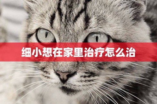 細小想在家里治療怎么治