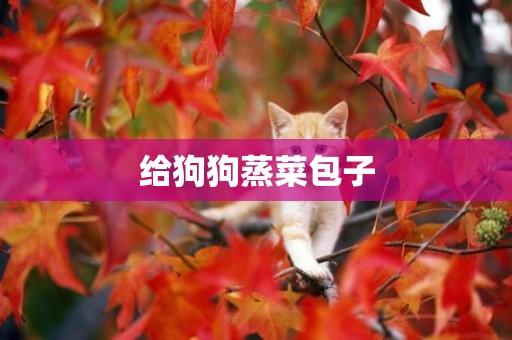 給狗狗蒸菜包子