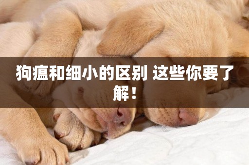 狗瘟和細小的區別 這些你要了解！