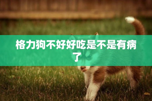 格力狗不好好吃是不是有病了