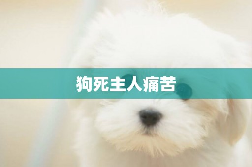 狗死主人痛苦