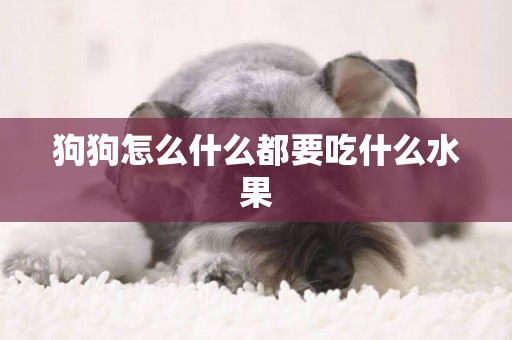 狗狗怎么什么都要吃什么水果