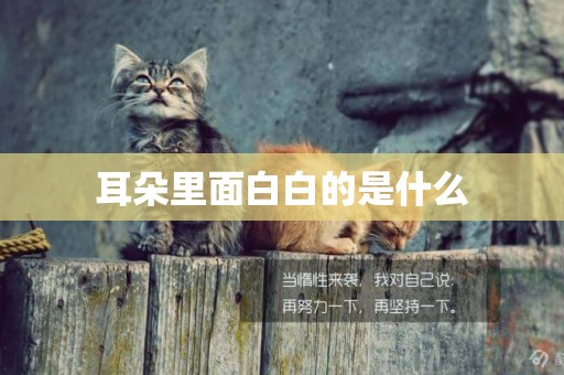 耳朵里面白白的是什么