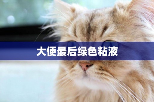 大便最后綠色粘液
