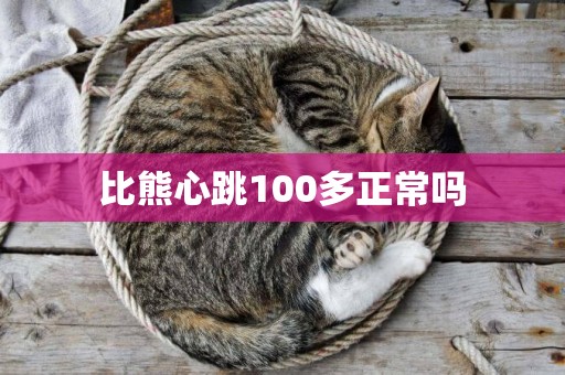 比熊心跳100多正常嗎