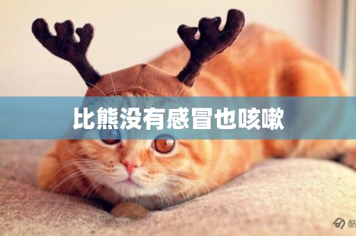 比熊沒有感冒也咳嗽