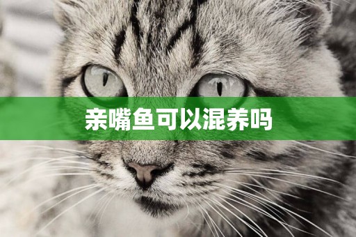 親嘴魚可以混養嗎