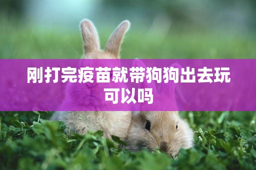 剛打完疫苗就帶狗狗出去玩可以嗎
