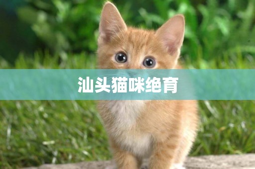 汕頭貓咪絕育