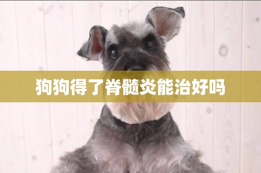 狗狗得了脊髓炎能治好嗎