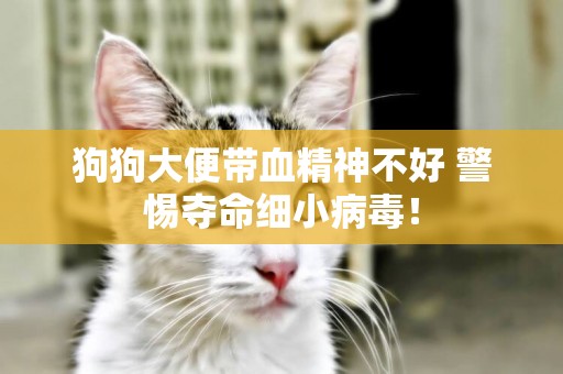 狗狗大便帶血精神不好 警惕奪命細小病毒! 狗狗大便帶血精神不好 警惕奪命細小病毒!