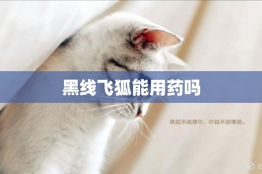 黑線飛狐能用藥嗎