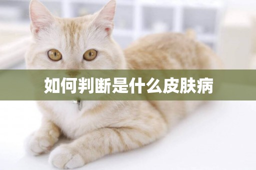 如何判斷是什么皮膚病
