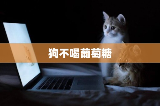 狗不喝葡萄糖