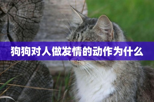 狗狗對人做發情的動作為什么