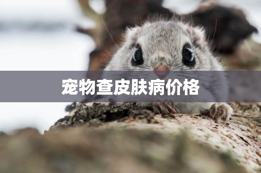 寵物查皮膚病價格