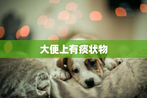 大便上有痰狀物