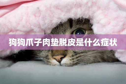 狗狗爪子肉墊脫皮是什么癥狀