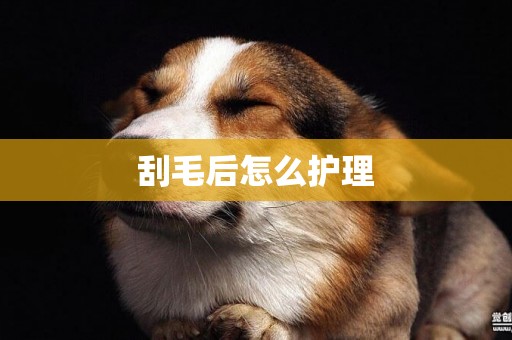 刮毛后怎么護理