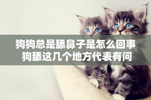 狗狗總是舔鼻子是怎么回事 狗舔這幾個地方代表有問題了！