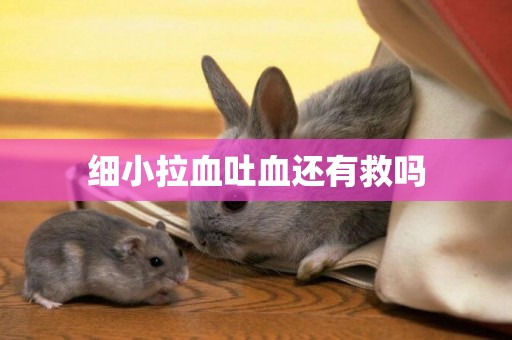 細小拉血吐血還有救嗎