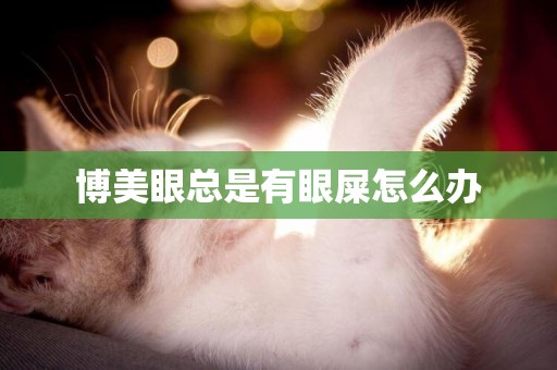 博美眼總是有眼屎怎么辦