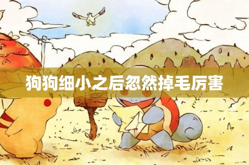 狗狗細小之后忽然掉毛厲害