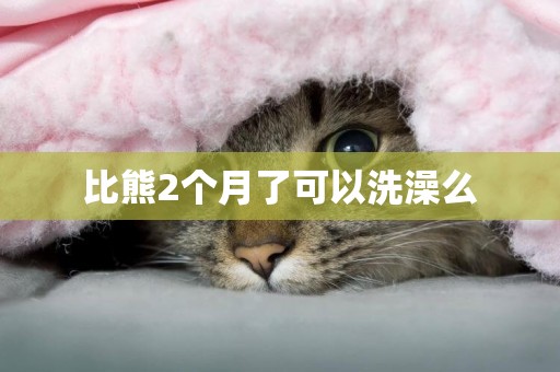 比熊2個月了可以洗澡么